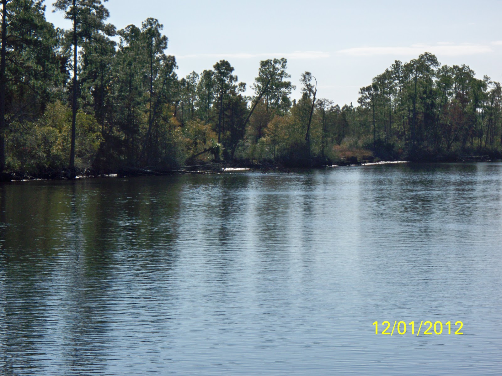 Nanseann Day 48 Dec 1, 31 miles to Scipio Creek Marina, Apalachicola FL
