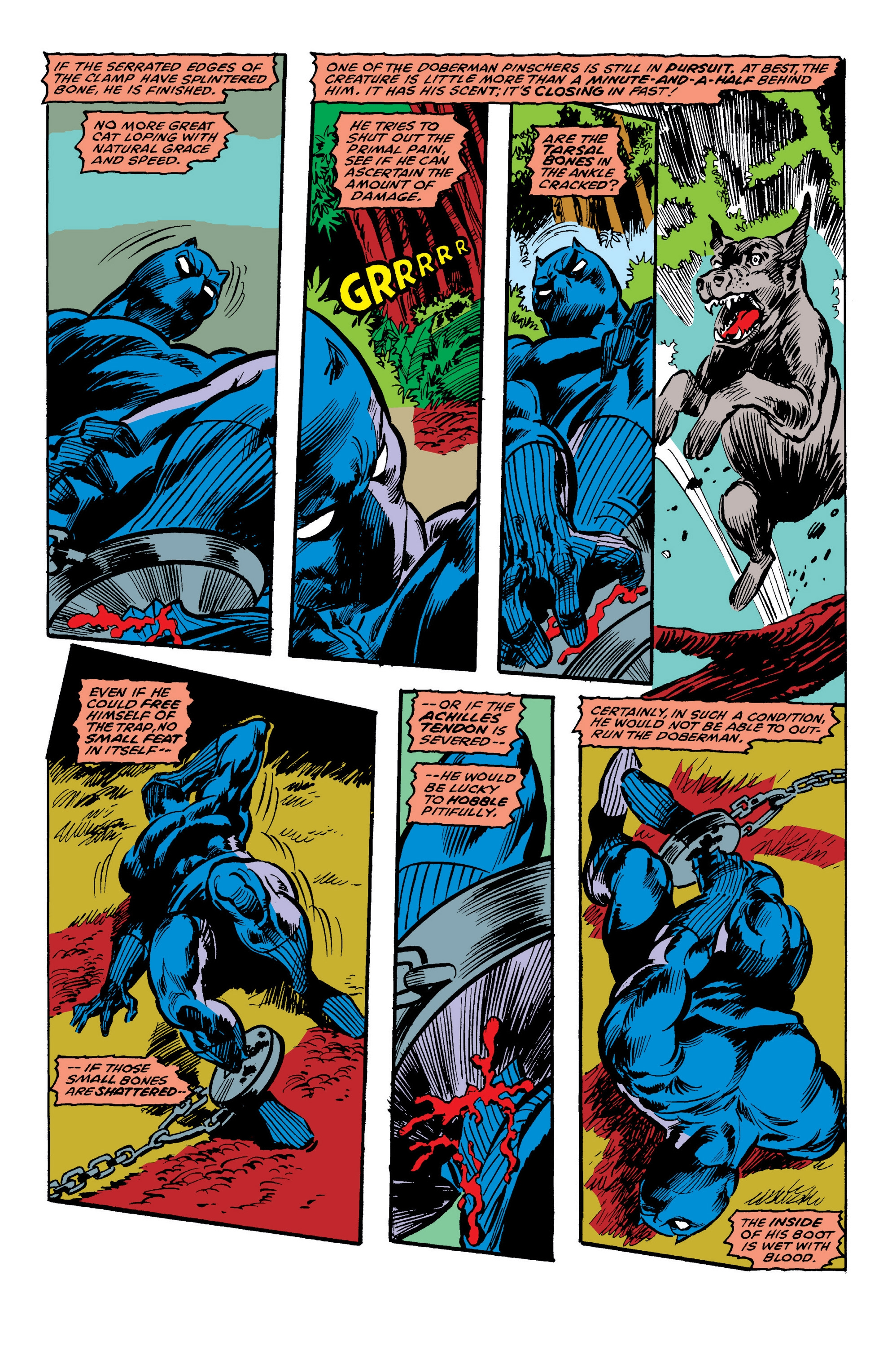 Read online Black Panther: Panther's Quest comic -  Issue # TPB - 195