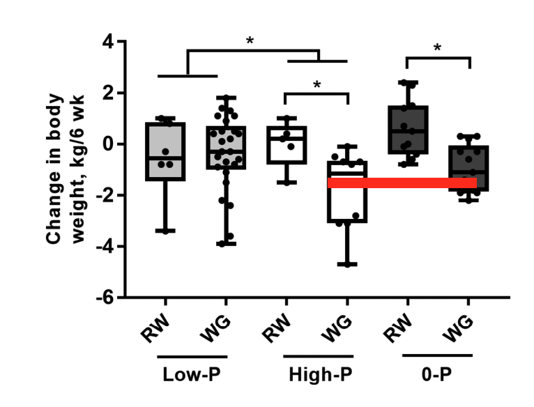 Weighty Matters The Journal of Nutrition Describes Gut Bacteria
