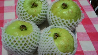 Crystal Guava
