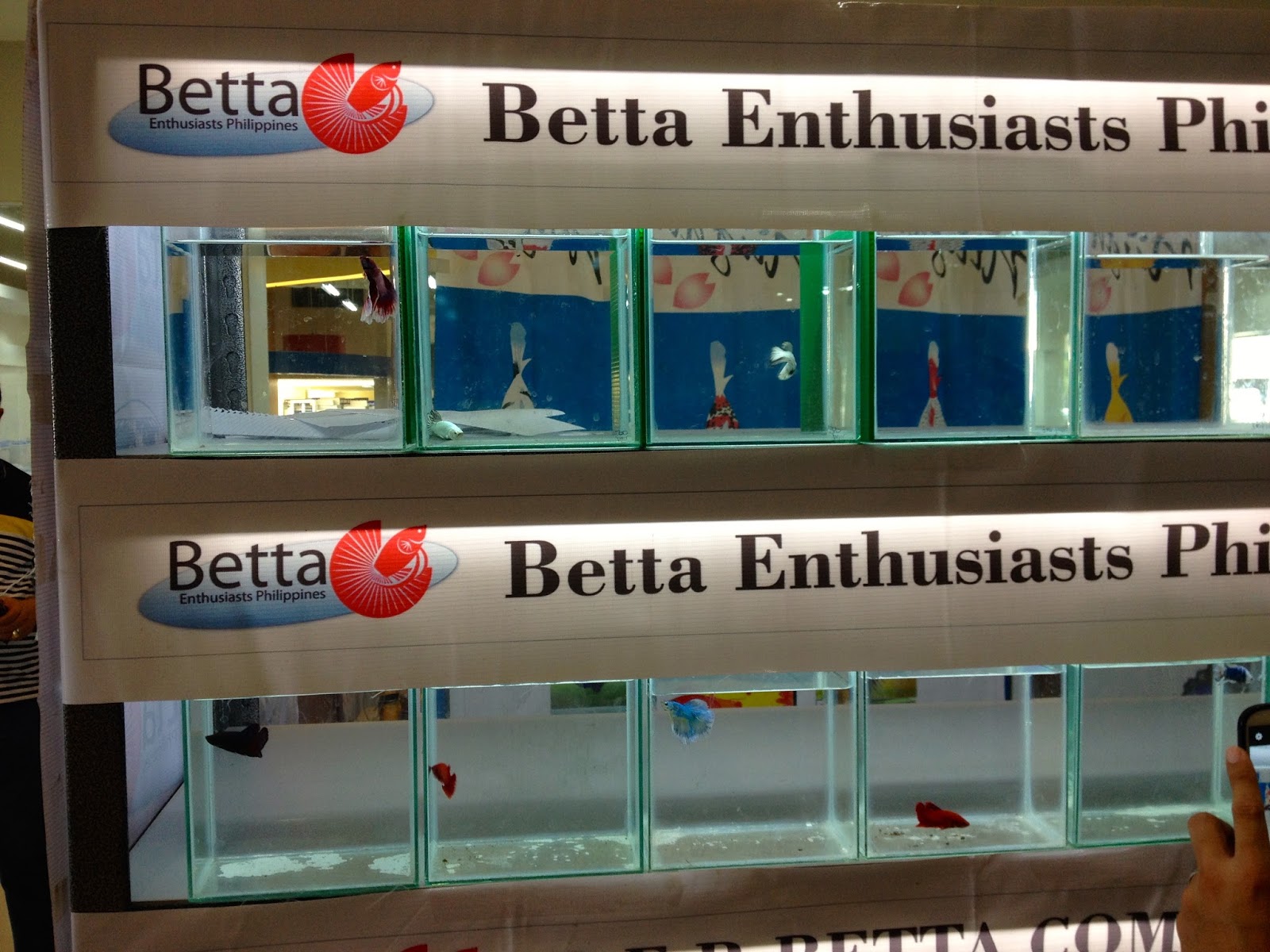 Cebu Pet Expo at Parkmall