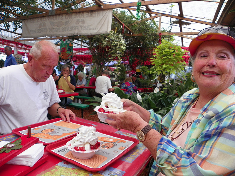 Some Day is Here Plant City, Florida