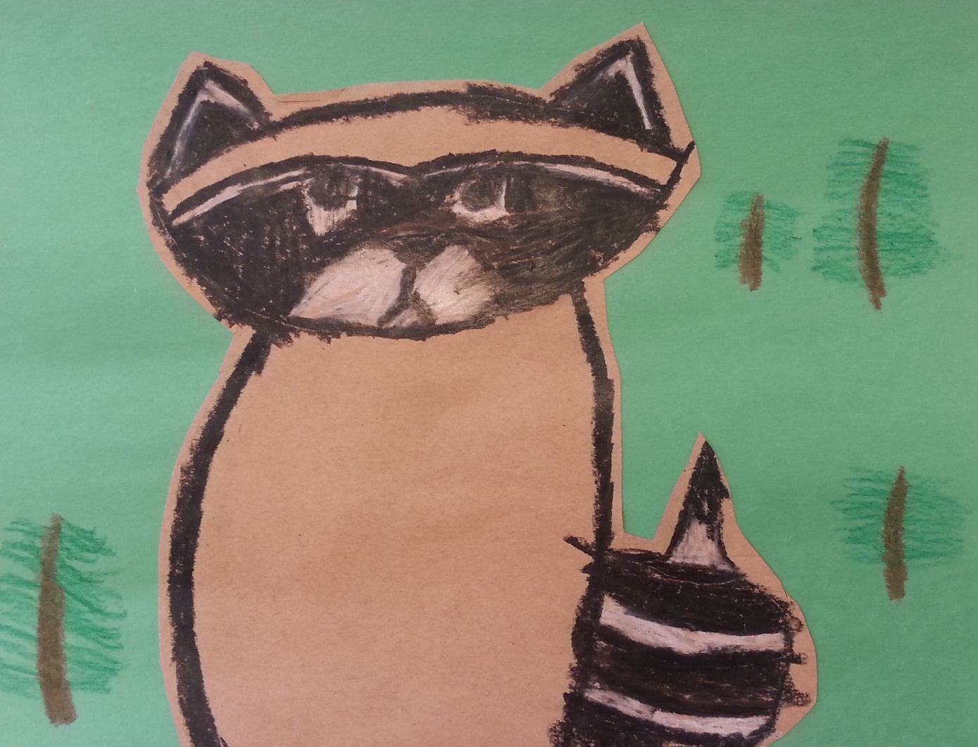 a faithful attempt Raccoon in the Forest