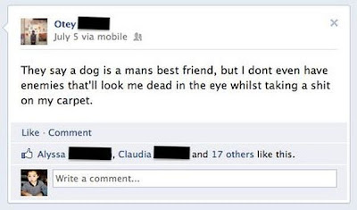 facebook der Hund ist der beste Freund des Menschen