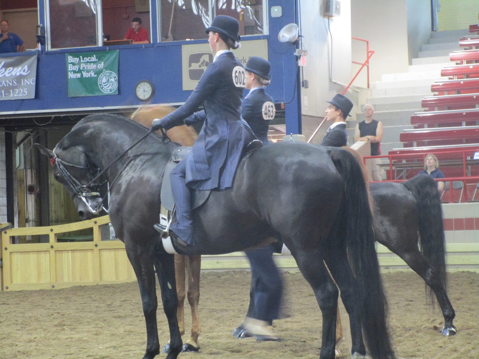 Empire State Farming It S National I Love Horses Day