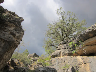 El poeta Luis Díaz Viana. Cielo