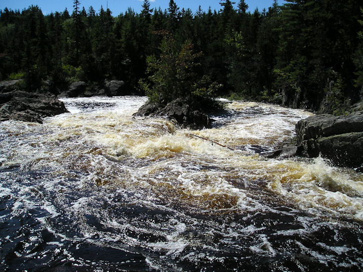 New Brunswick Naturism: August 2015