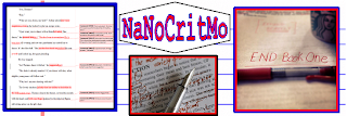 NaNoCritMo