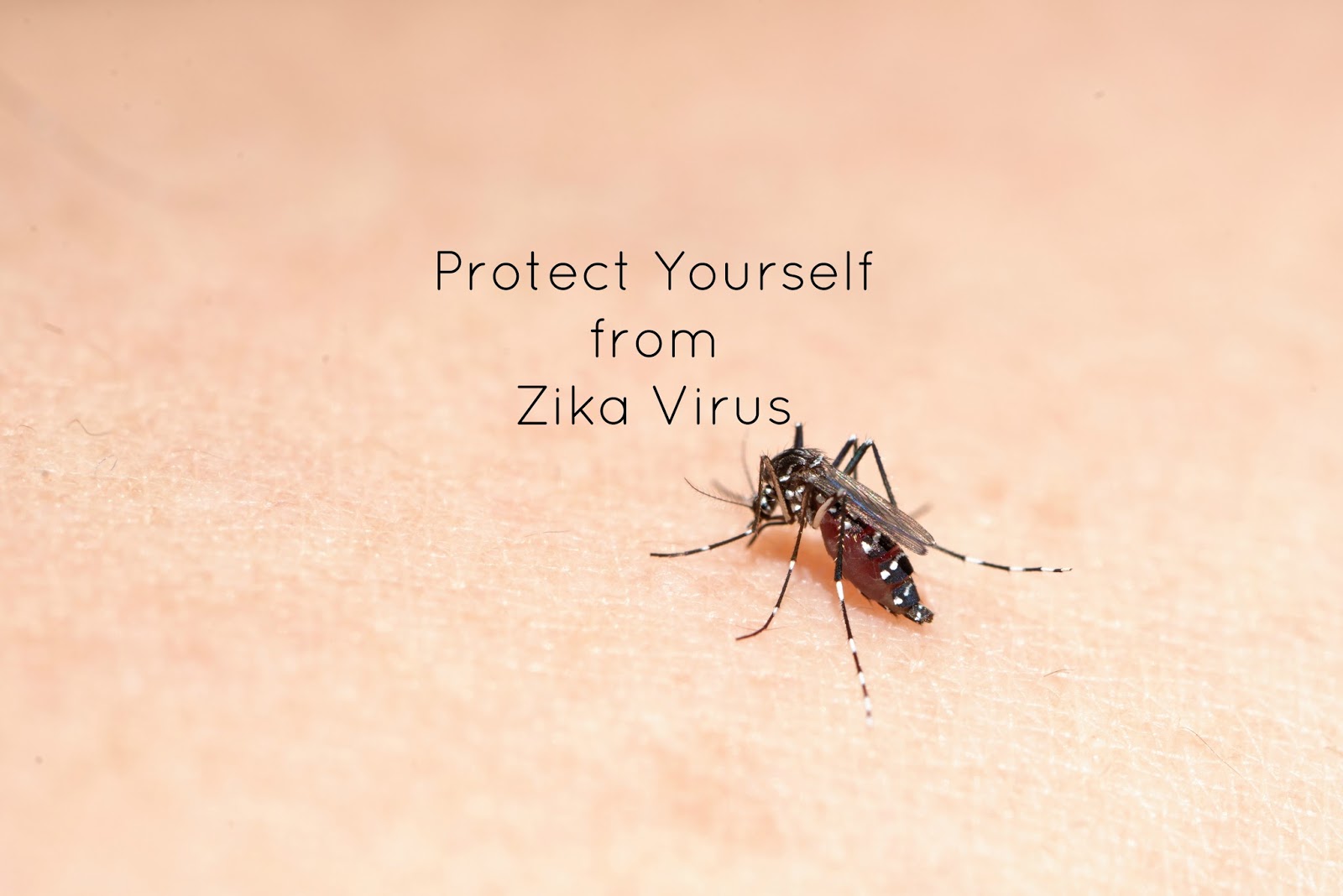 Protect yourself from Zika Virus ( and other Mozzies related diseases)