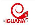 LA IGUANA TV