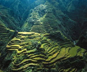 Banaue Rice Terraces di Filipina
