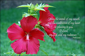 Psalm 19:14 May the words of my mouth, and the meditations of my heart, be pleasing 