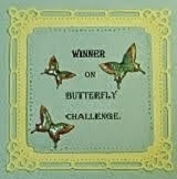 Butterfly Challenge winner