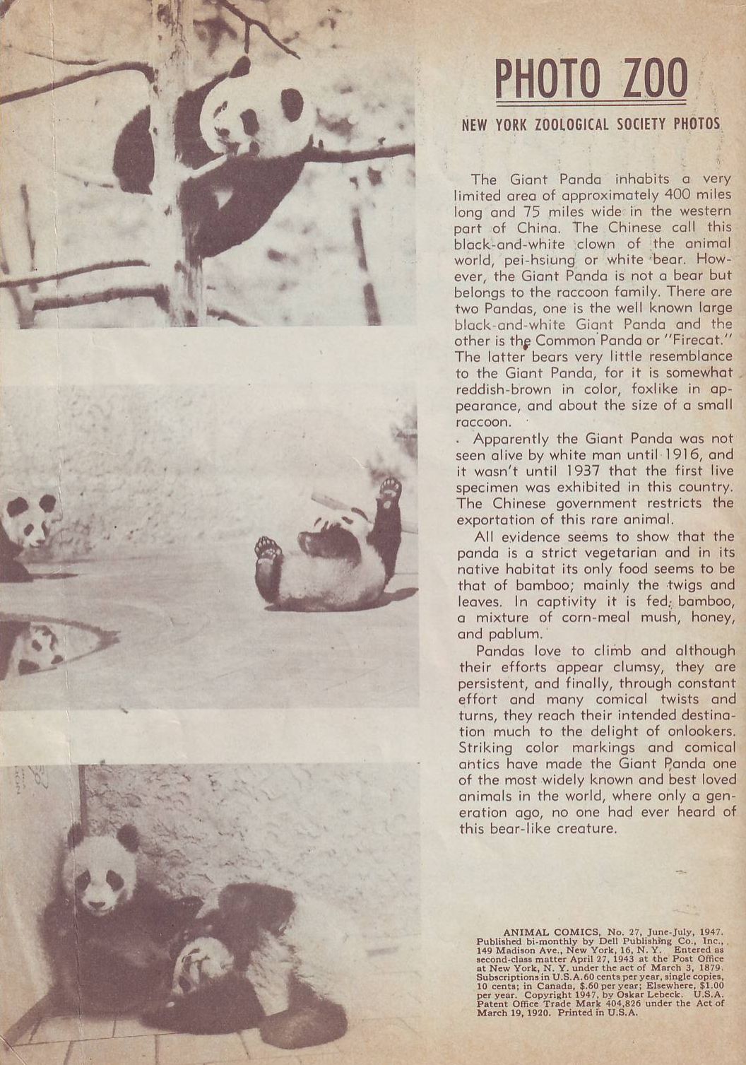 Read online Animal Comics comic -  Issue #27 - 2