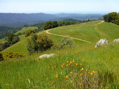 Santa Cruz Mountains Trails: Long Ridge Open Space Preserve (from ...