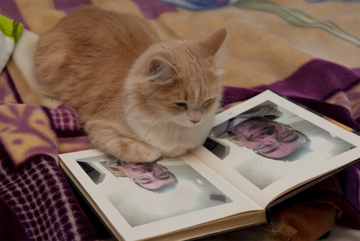 PhotoFunia%2BSmart%2BKitty%2BLarge%2B201