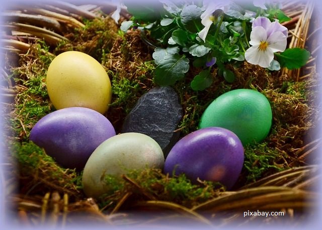 Lila Flieder Garten Frohe Ostern