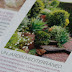 Mi jardín en el numero de mayo de la revista El Mueble