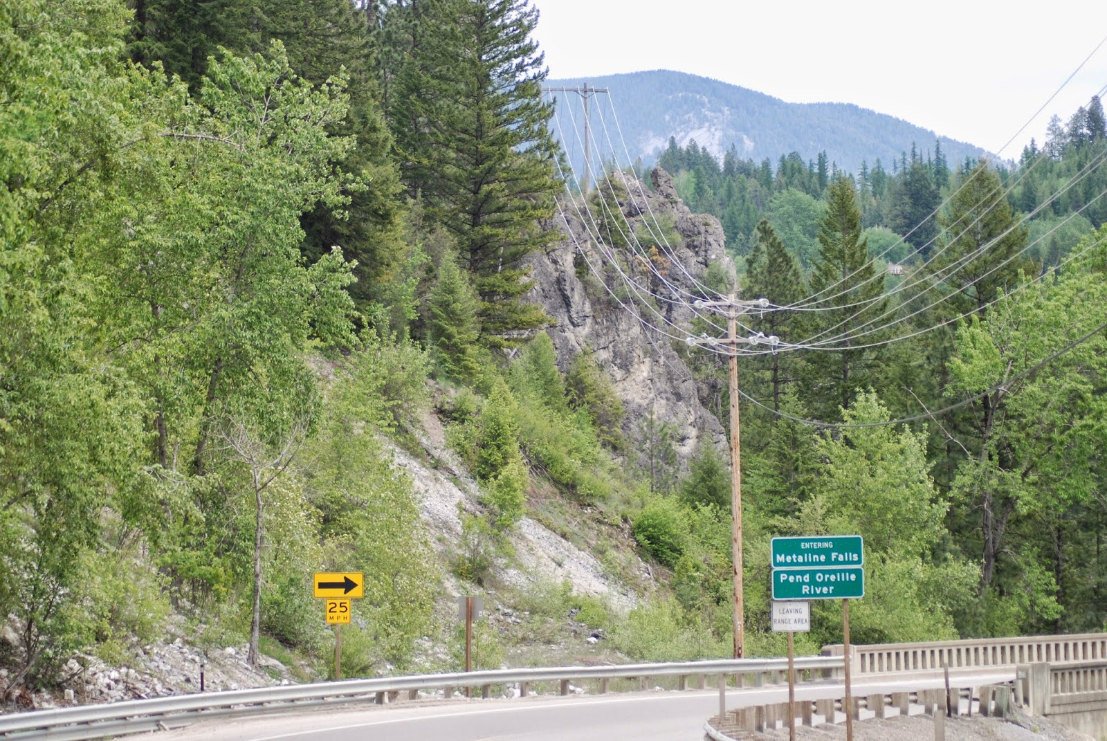 Elmira Pond Spotter Meet Me in Metaline