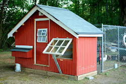 Erin Leigh Photography: Chicken Coop