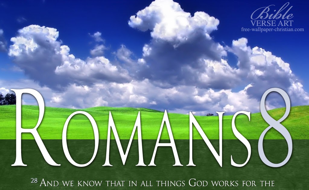 “In Whom Shall I Trust?”...the Wayfarer 3/15/16