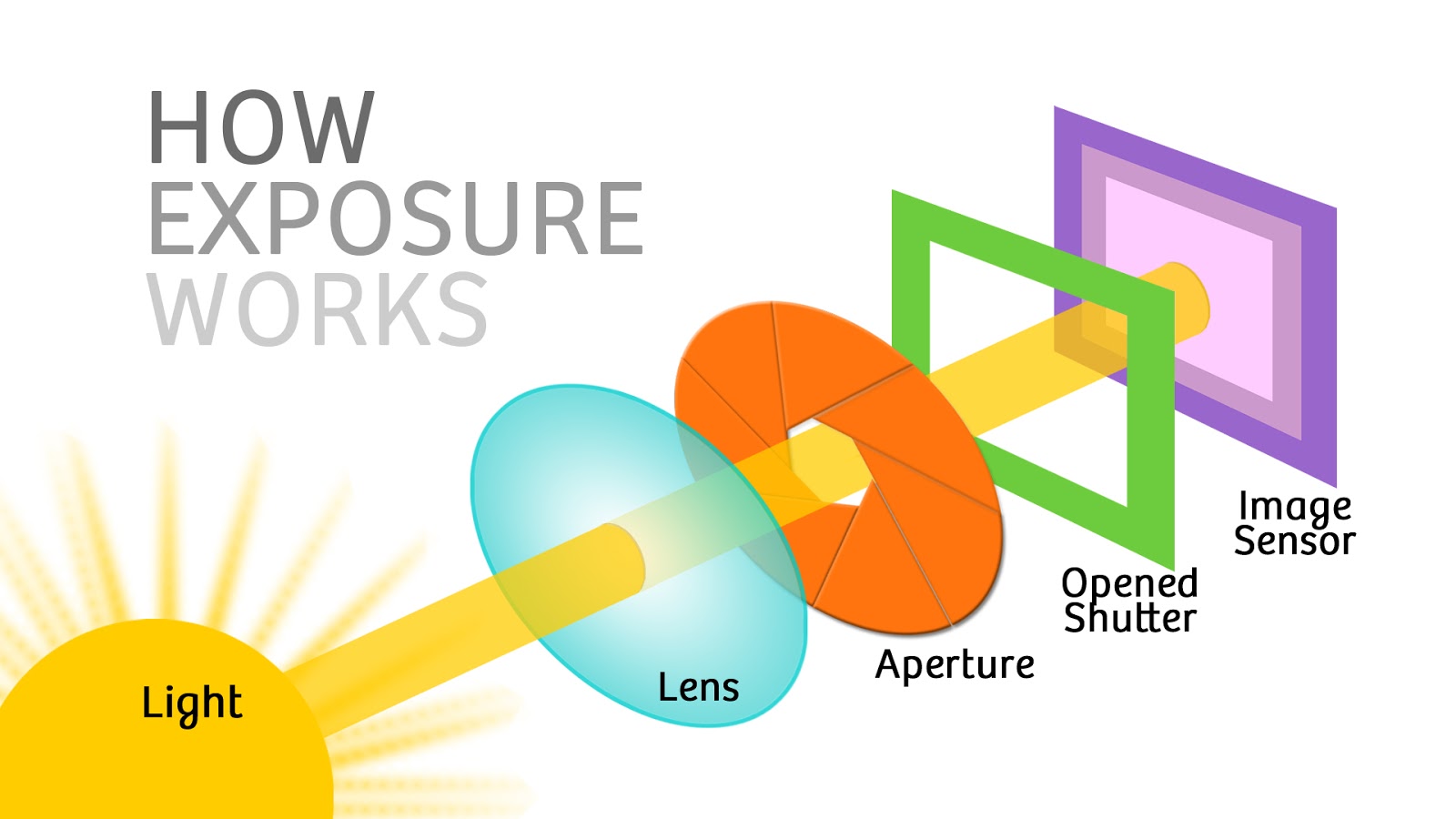 hillwood photo 2 how photography and cameras work