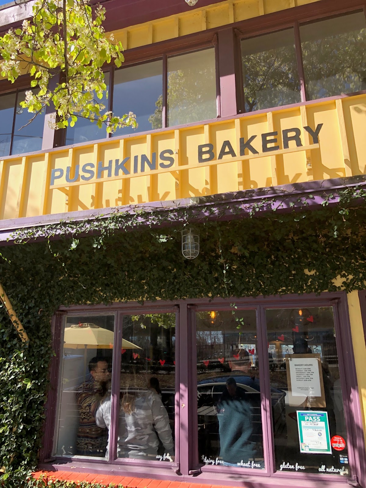 Alexis's Gluten Free Adventures Pushkin's Bakery Sacramento, California