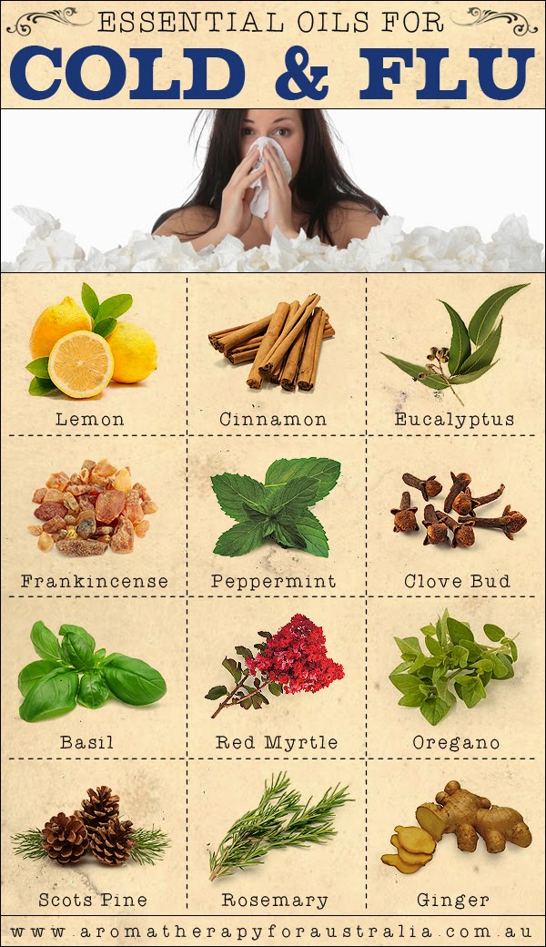 Aromatherapy For Australia 12 Essential Oils For Cold & Flu