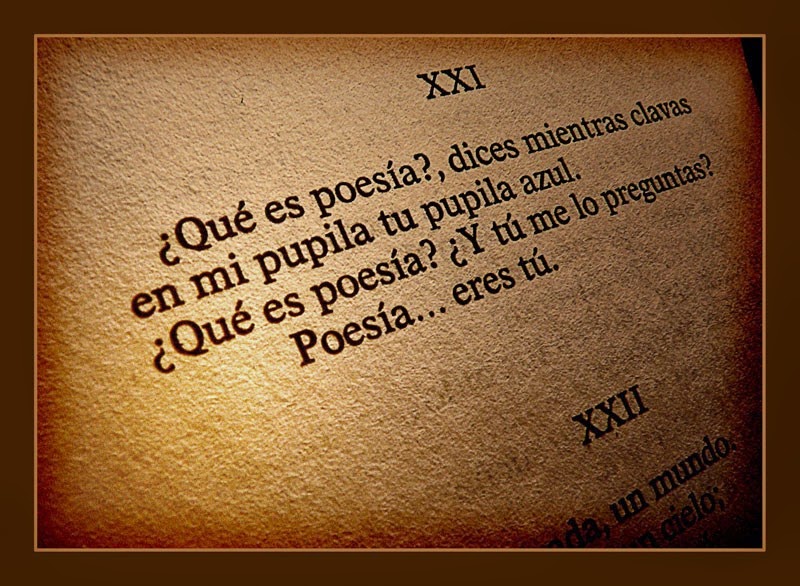 Un món de somni: Qüestions sobre la poesia.