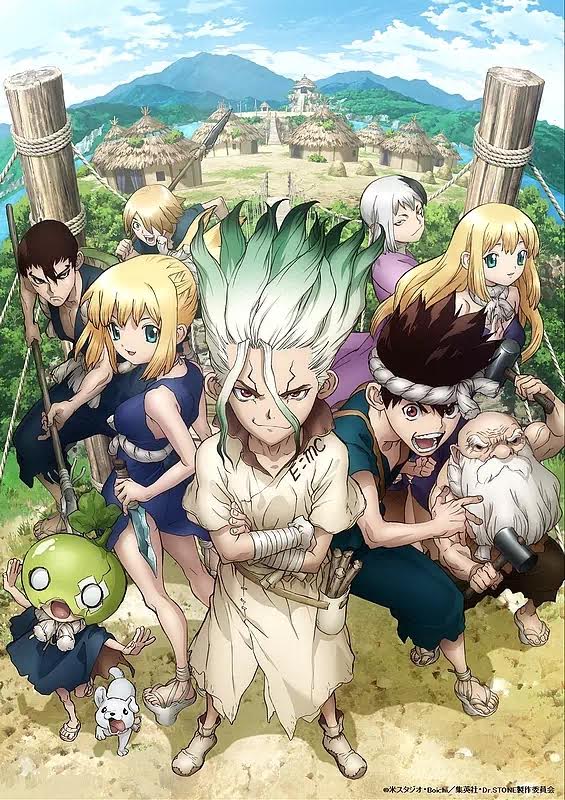 Dr. Stone Dr. Stone
