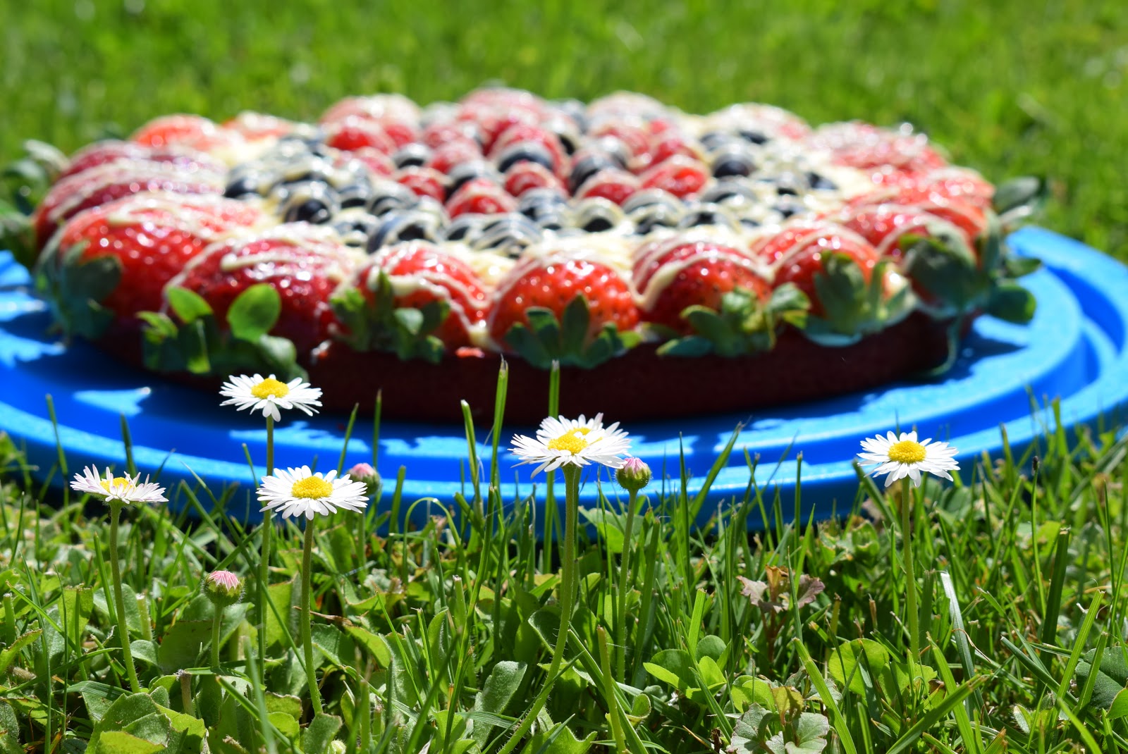 Bunter Obstkuchen - Soni - Cooking with love