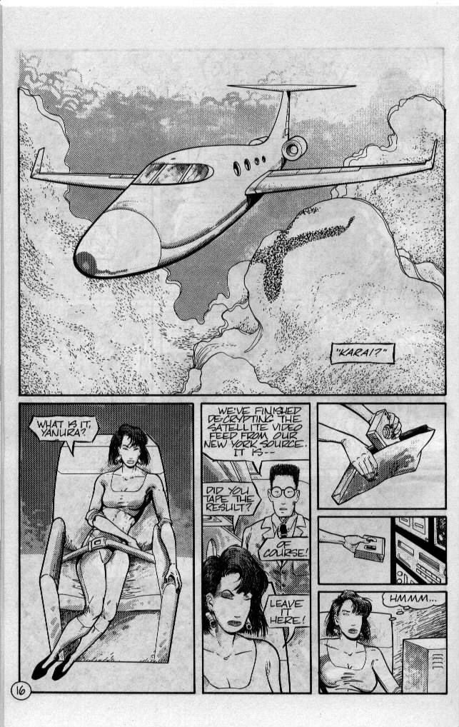 Read online Teenage Mutant Ninja Turtles (1984) comic -  Issue #54 - 17