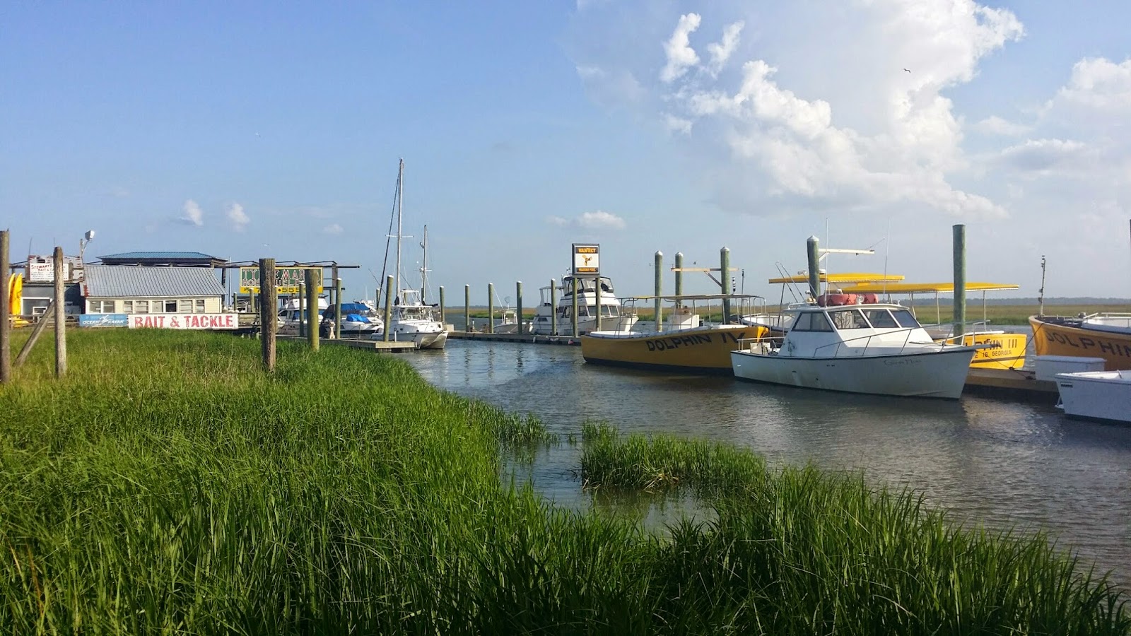 Nice Restaurants On Tybee Island Nice Restaurants On Tybee Island
