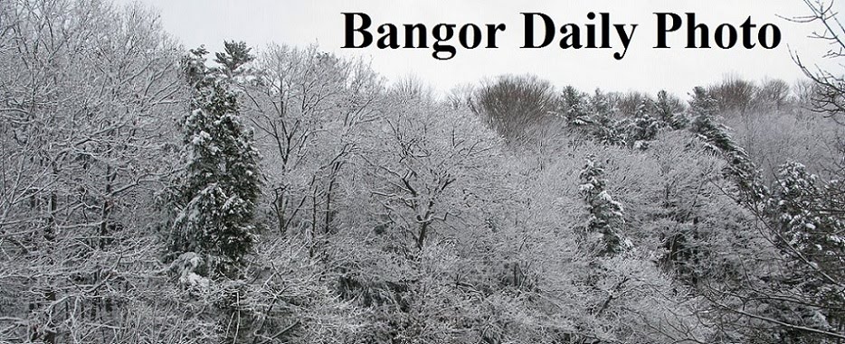 Bangor Daily Photo
