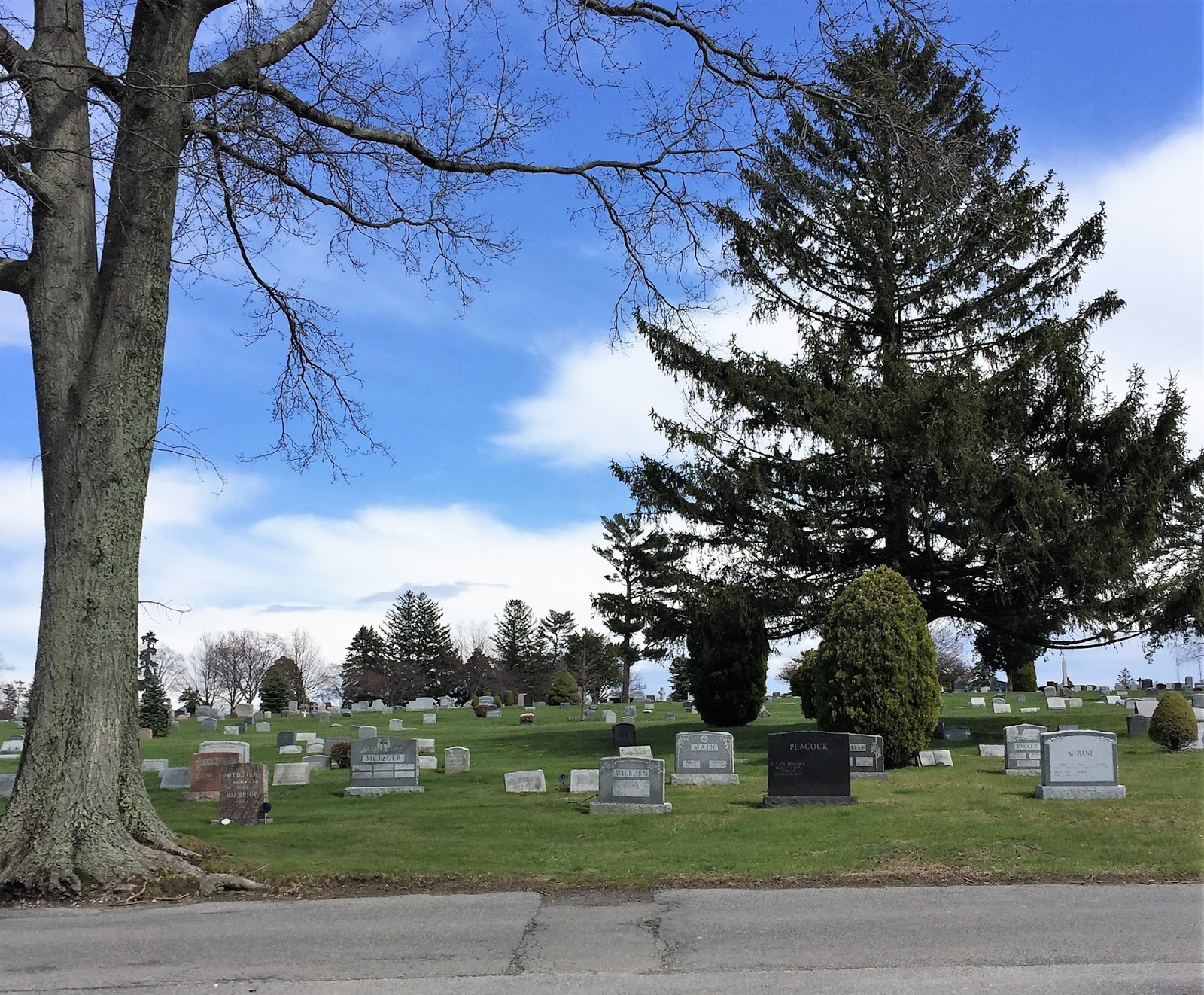 Souvenir Chronicles VALHALLA, NEW YORK KENSICO CEMETERY