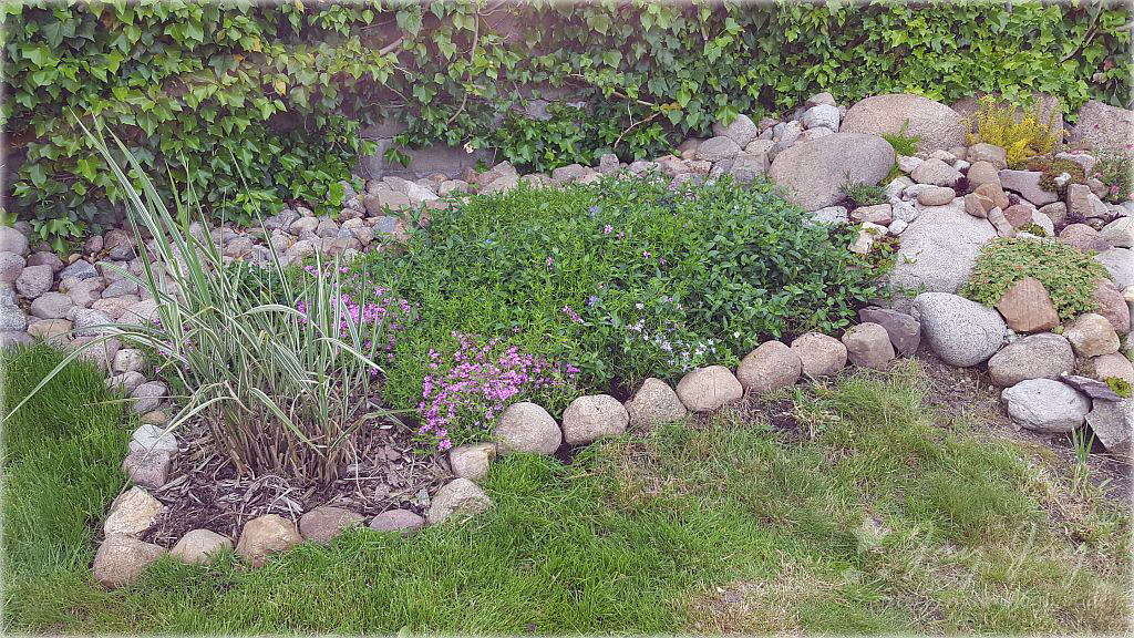 Sternensinn Garten Und Mehr Mai 2019