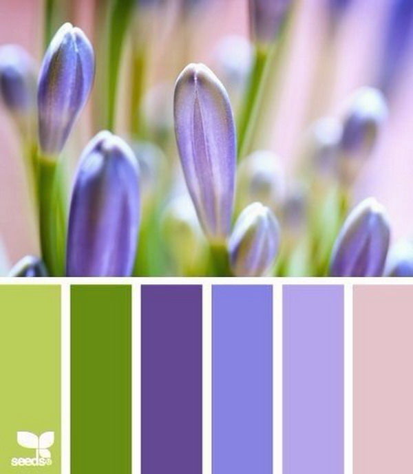 Цвет апреля. Палитра весны. Весенний фон на рабочий стол. Весеннее сочетание цветов. Цветовая гамма.