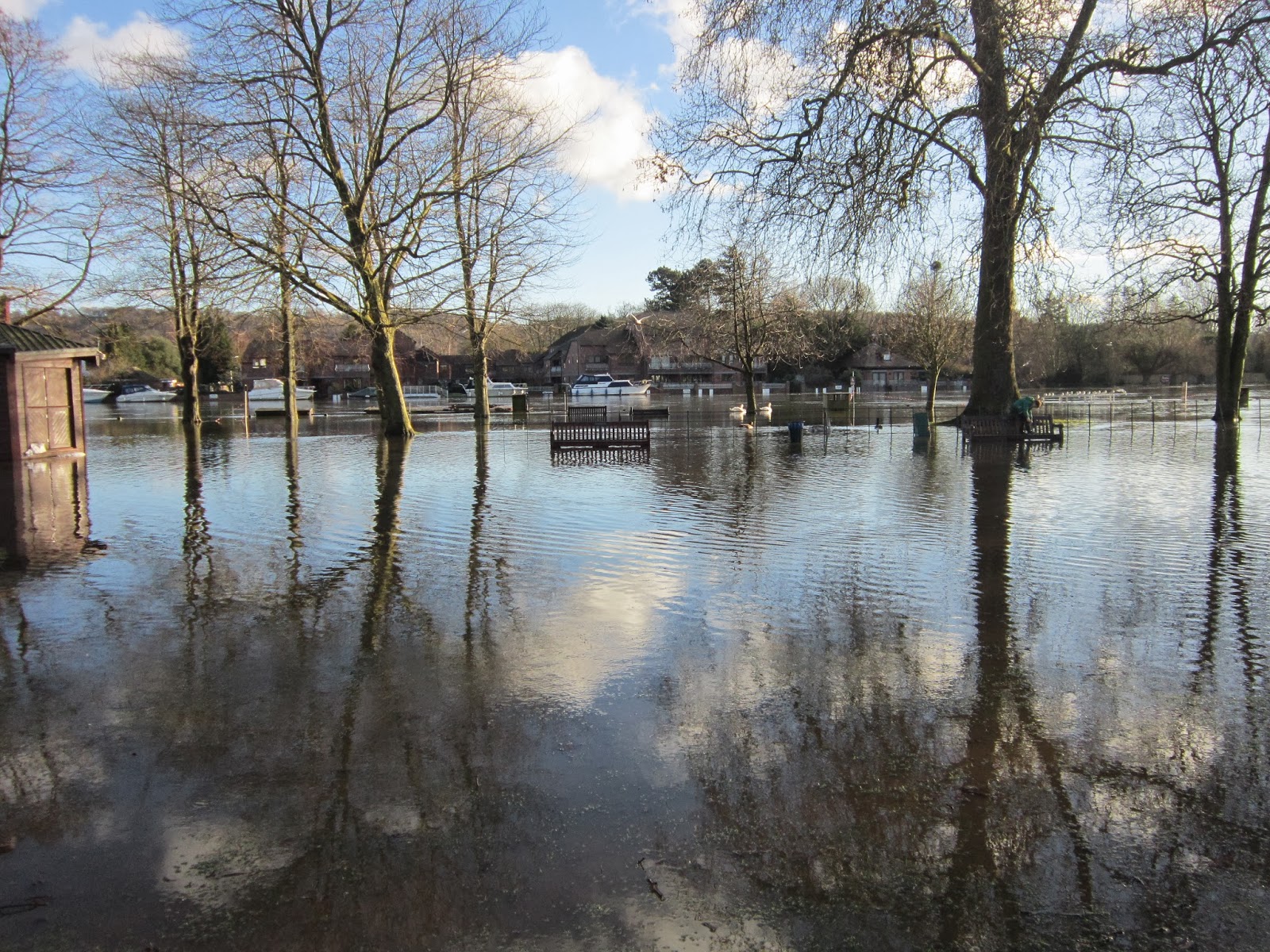 Vraie fiction A park drowned in the River Thames