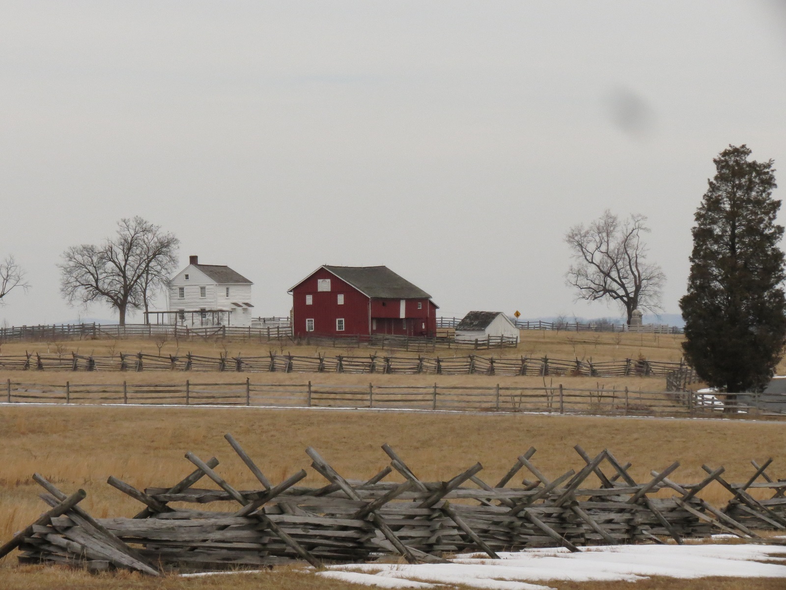 German Vintage Postcard Collector