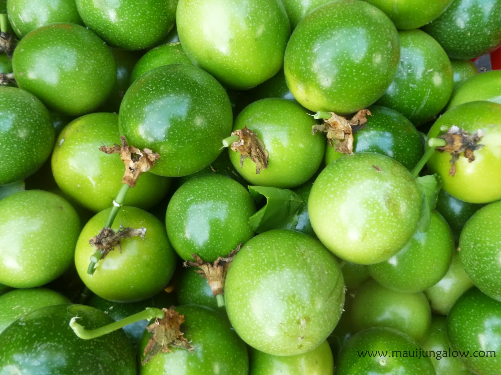 Maui Jungalow Landscraping and Green Passion Fruit