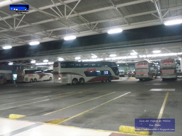 Central de Autobuses de Veracruz CAVE