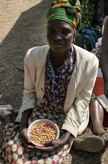 In parts of sub-Saharan Africa, women in gardens and on small family farms mainly grow Bambara groundnuts.