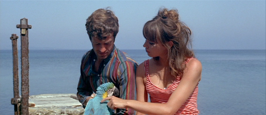 Love Music Wine and Revolution: Pierrot le Fou (1965)