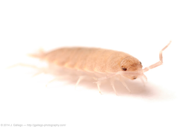 macroinstantes: febrero 2014