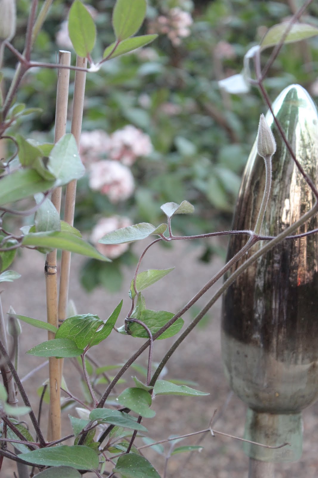 INNENANSICHTEN: Hinterm Gartenzaun...