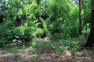 makam gunung kelir pleret