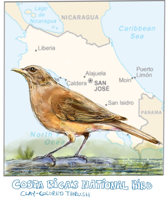 Costa Rica's national bird Painting by Ulf Artmagenta