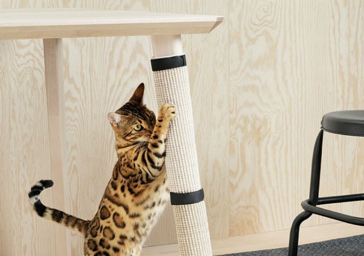 IKEA lanza LURVIG su primera colección para mascotas