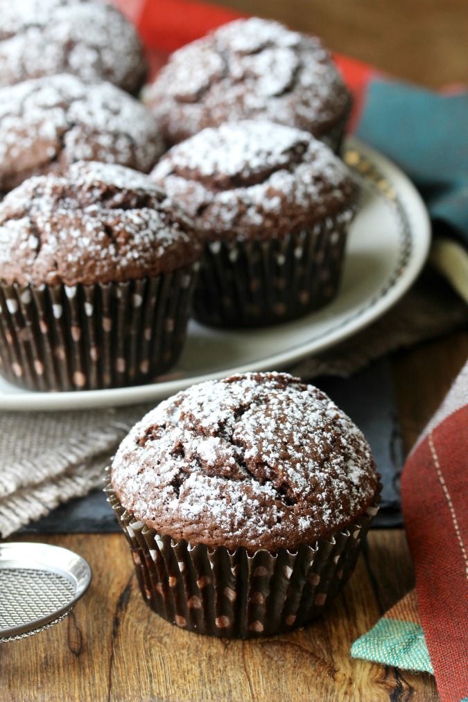 Chocolate Yogurt Snack Cakes Karen's Kitchen Stories