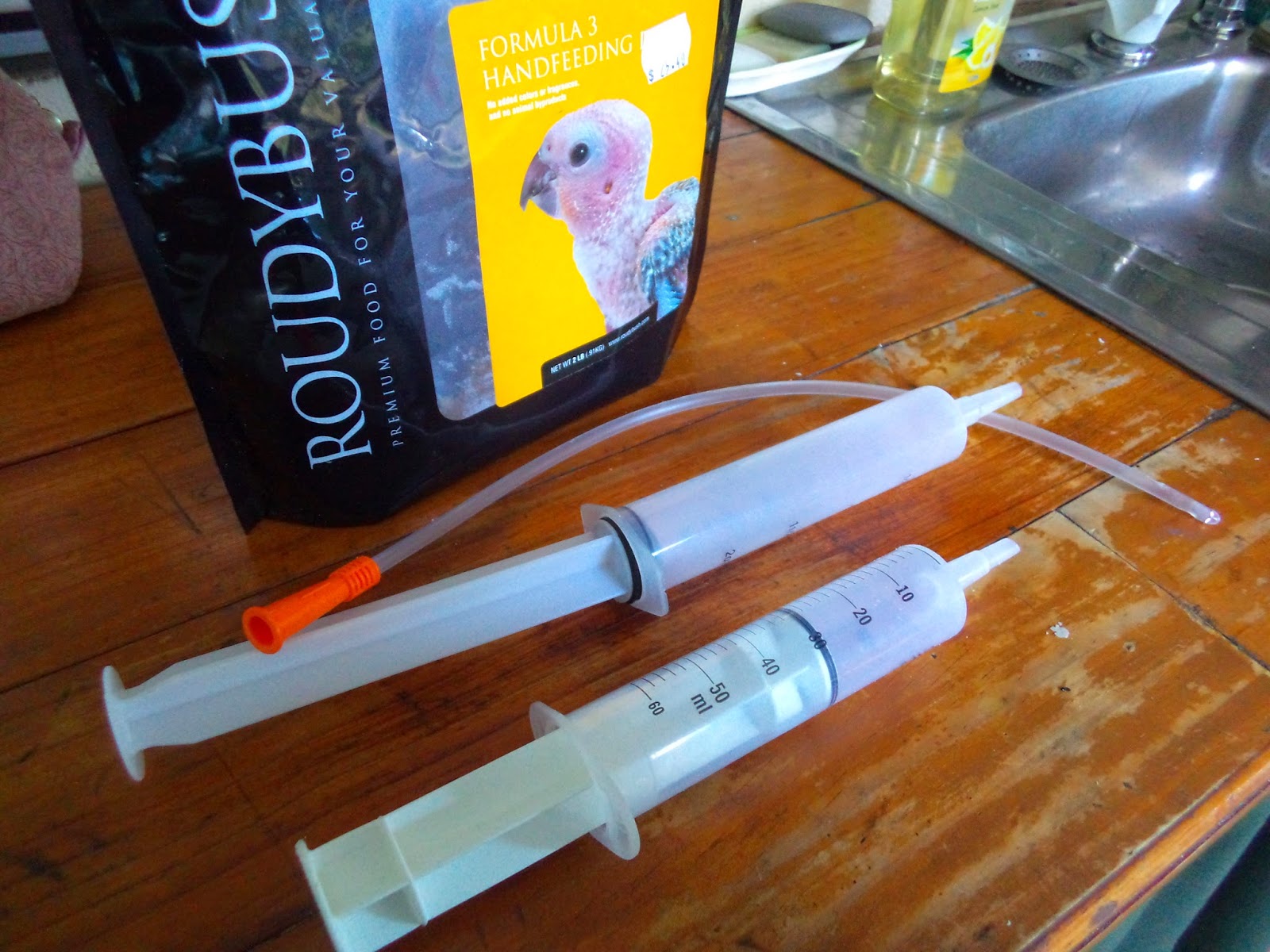 How to force feed a sick chicken...!?